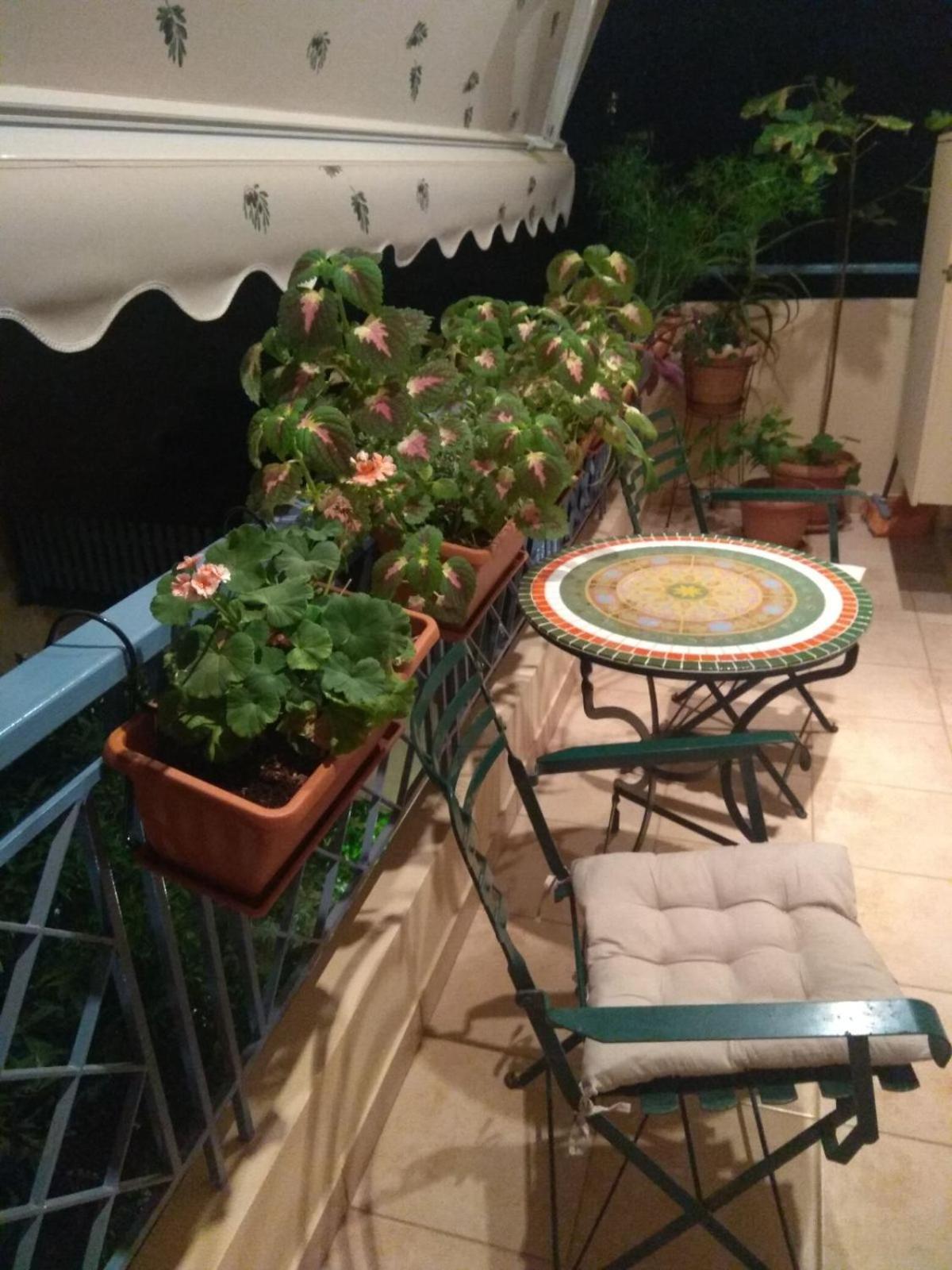 Polyxeni Apartment Athens Exterior photo
